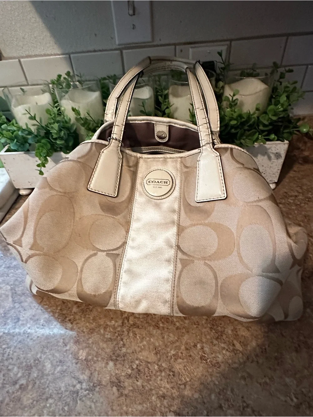 Coach Signature F17424 Handbag Beige/Gold Hobo Bag